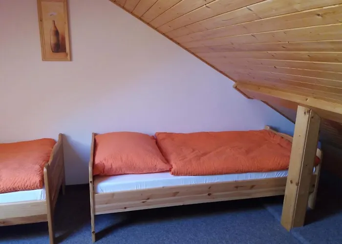 Gasthuis Ve Stare Skole Vlastejovice